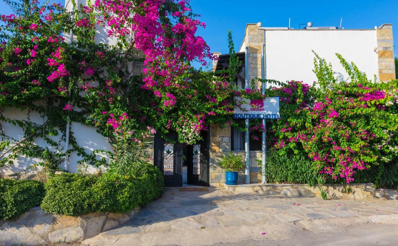 Cotton Hotel Gümbet Dış mekan fotoğraf