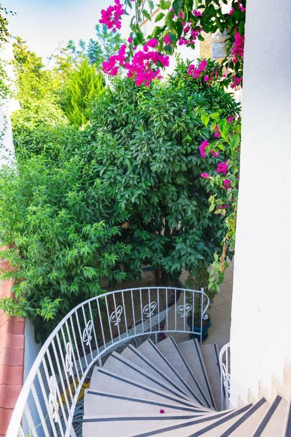 Cotton Hotel Gümbet Dış mekan fotoğraf